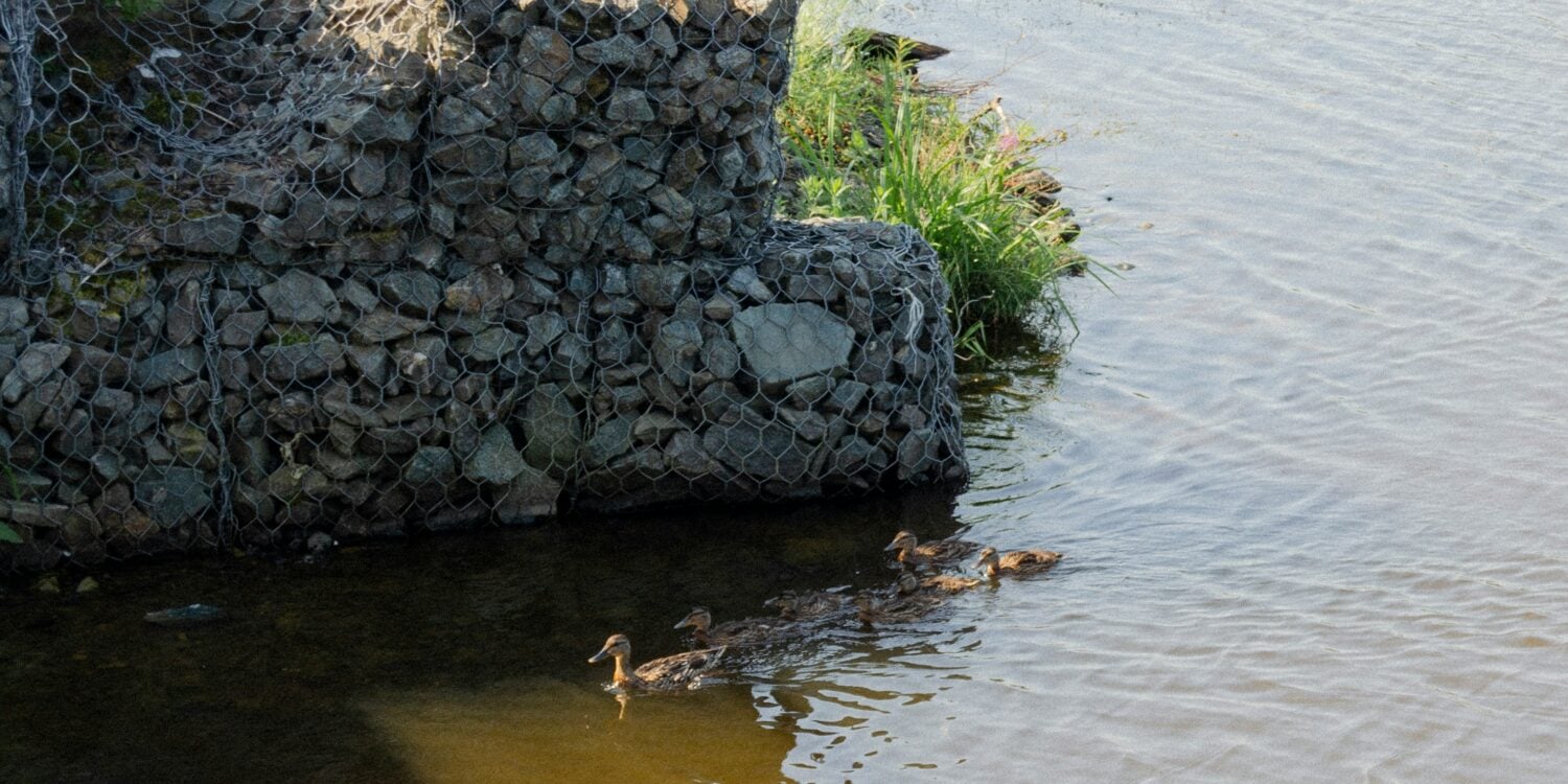 gabion baskets