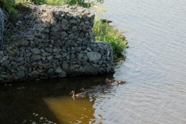 gabion baskets