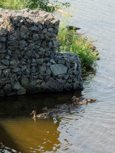 gabion baskets