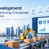 ERP Development in Singapore